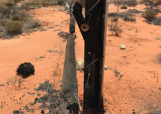 Repair Bushfire